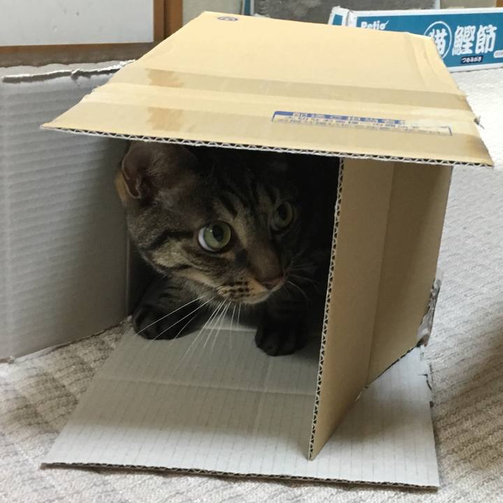 C13ef4ce ff4a 461b a1e3 1d7b25e85dd7 1535033264027