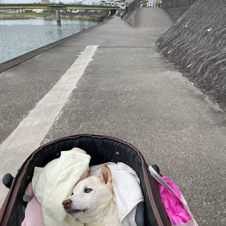 C13ef77e 0abc 4591 86b9 68b21115d616 1680522414369