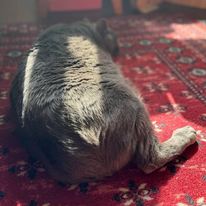 C13f487c 2563 44b3 b64a 01927e675dbd 1773725566603