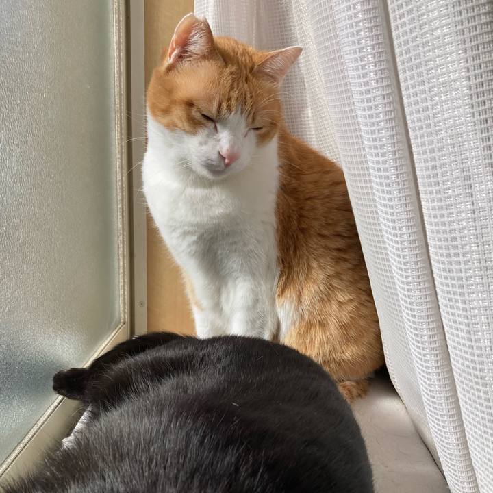 C13faa23 60b3 4546 b219 20a530de14b0 1773710274659