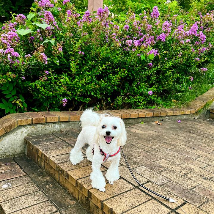 C13fbdce 5af2 4fd5 9885 548ca988e6e9 1660903692859