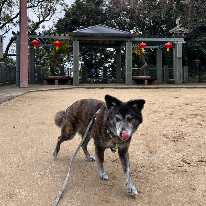 C13fd593 f199 479c a6d8 1f87ef49dd8a 1770349585135