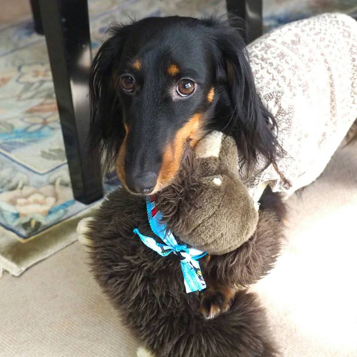 C13ff059 d608 4d9d 8308 9bb0e7ae9fab 1516244850495