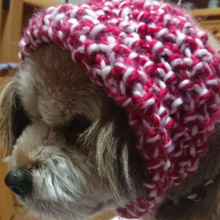 C1401b42 4415 4046 875d 8a1139fa361e 1514497276336