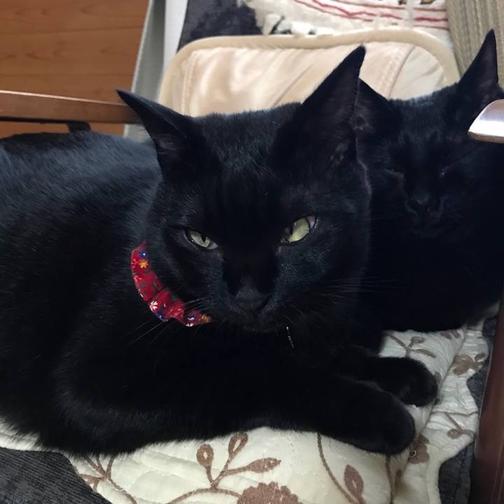 C140485a 8b45 4bed b903 933e09486789 1528792253422