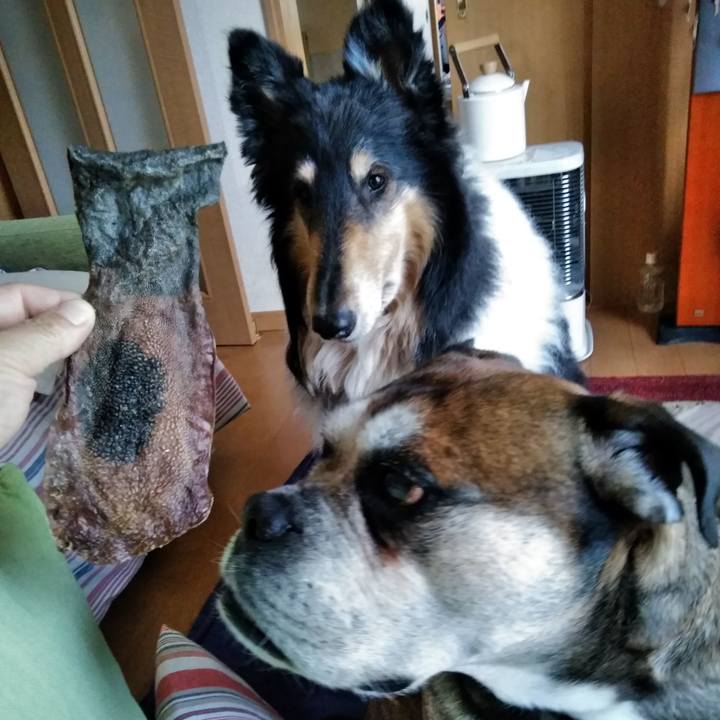 C14061c5 139a 4fa7 b852 c403880d0dee 1559738105427