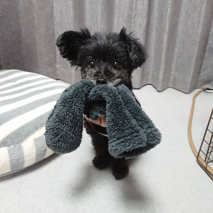 C14068a2 11b2 42ea 9e23 08a6f78b0649 1609854064130