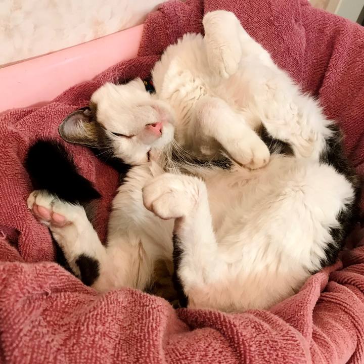 C14087de f4e1 49ff ae44 4072e06567ac 1600352142687