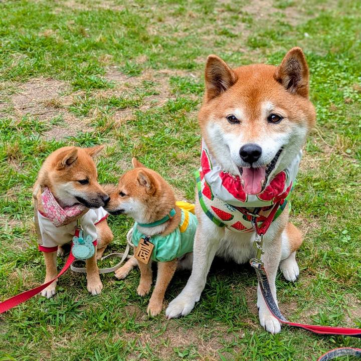 C14089fa 0e20 48bc b304 7cb9aa1234ba 1750732957727