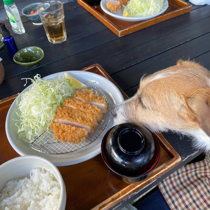 C140a07b b251 40a0 8c5b e2c61113ad6c 1637676407689