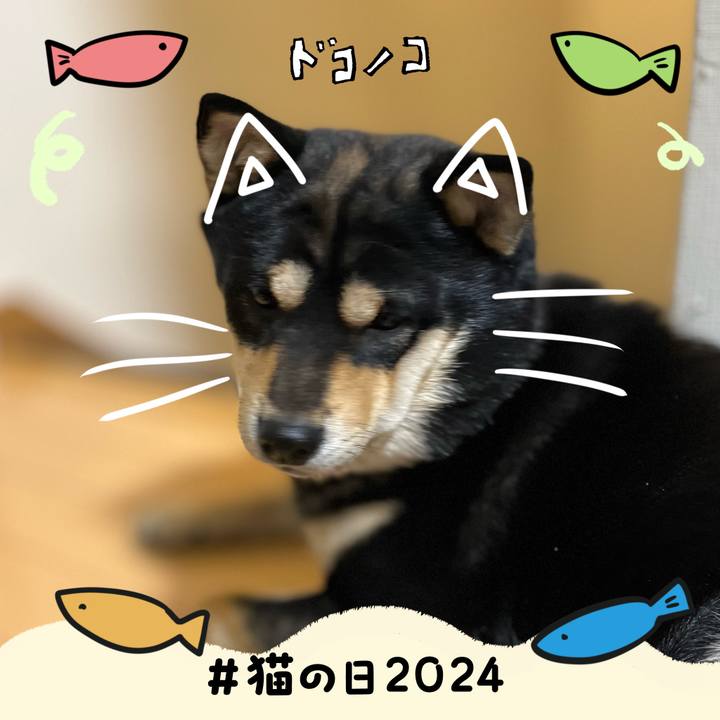 C140b0fd ac4a 42c3 ba1e d35873070a3b 1708587092081