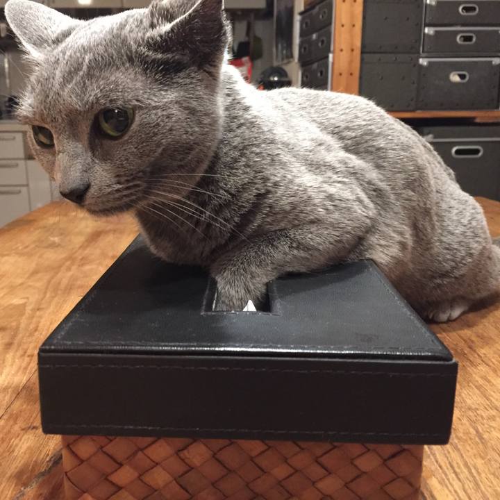 C140c994 a726 4c02 9b75 5d9779848d20 1526859361416