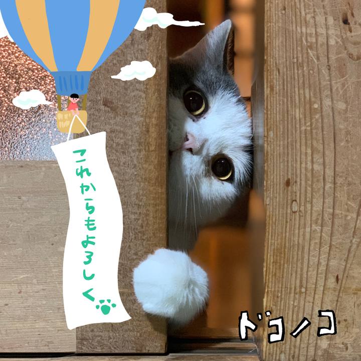 C140d29a fe62 4fe8 b797 8e7cfb7feac1 1685966717856