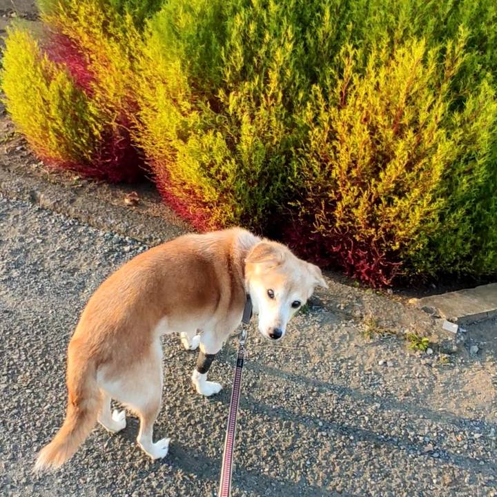 C140f50e 1669 491f a93c 75df5b932fbb 1667718937673