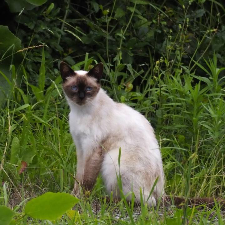 C140fb1c 015c 4b59 ac1a 0e5dfa8d71a0 1625716020151