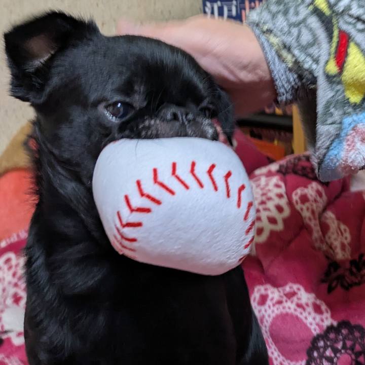 C14107cb bb5f 492d ad83 5013aec6d7a6 1766236663483