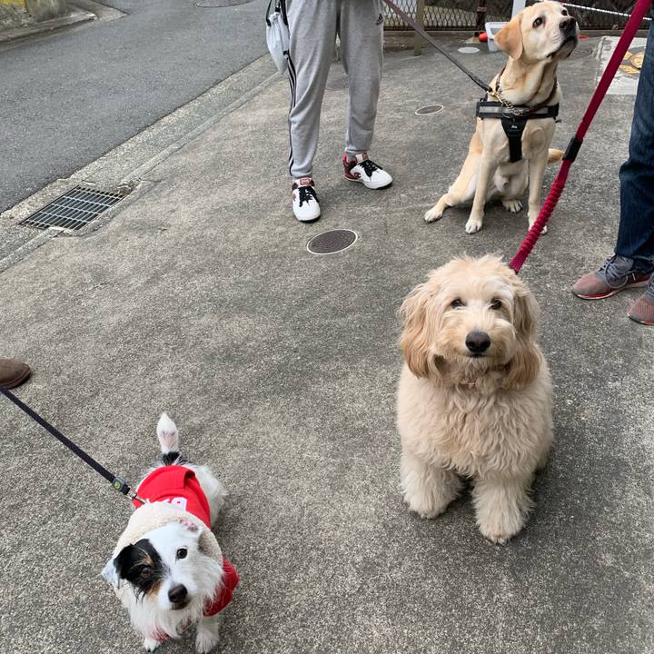 C1410b4e bf4a 4126 8e2f 4ac1c7242441 1706859504459