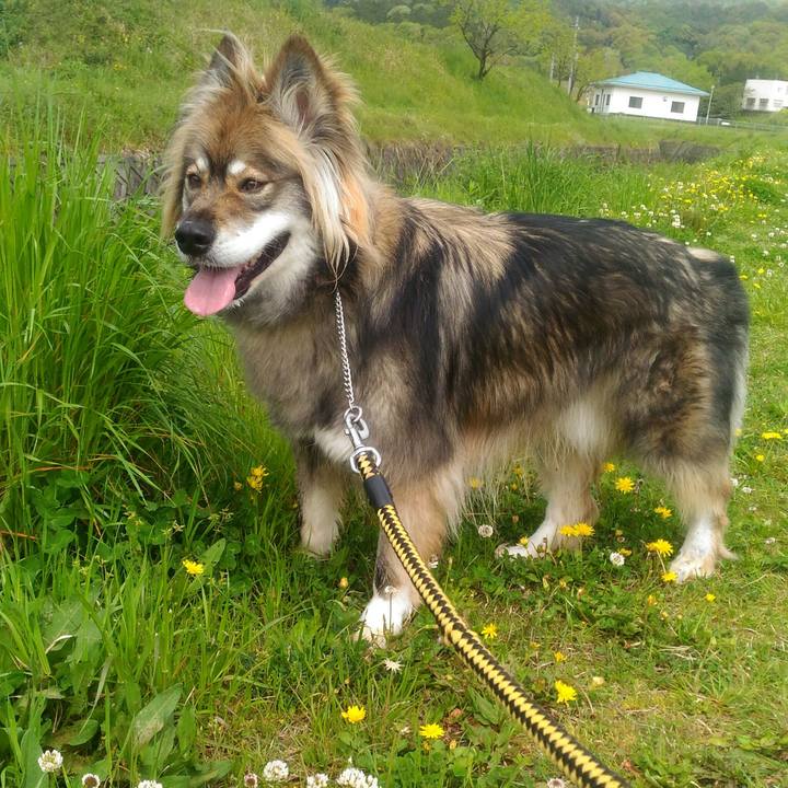 C14169ec 5682 4e93 b855 79c8fa8a525f 1556262584180