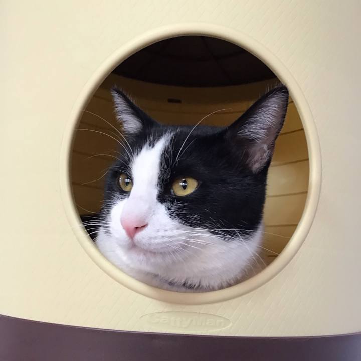 C141a9c8 a888 43e2 a088 0872500a7916 1644361552720