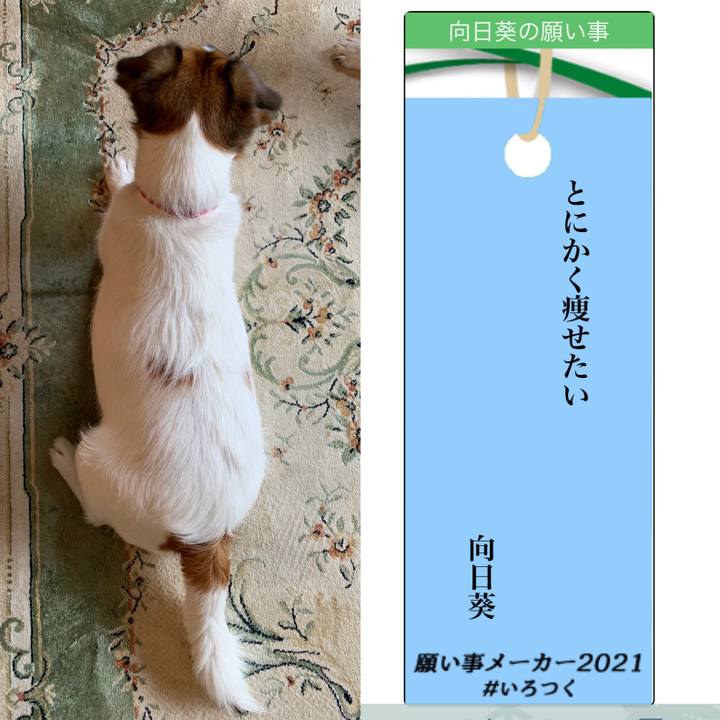 C1422706 541d 41cf b440 037676beb720 1625364061419