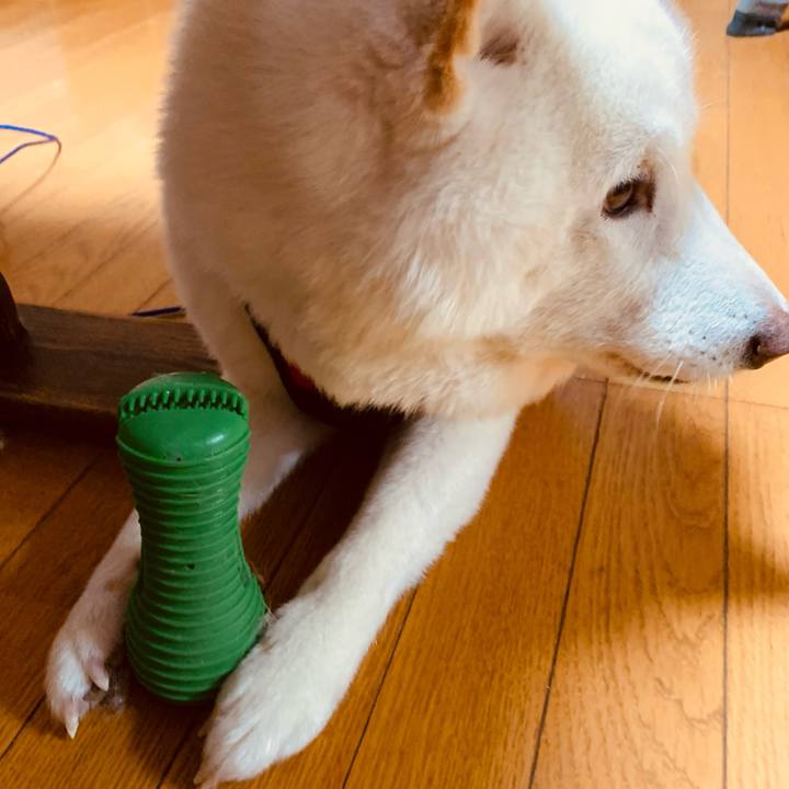 C1428438 24a0 483c a2f3 fec497f3971d 1641730014036