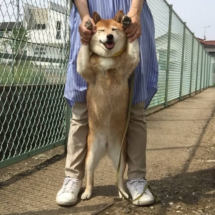 C1428663 50c8 48ce b3f7 0f3bd1073571 1591664411688