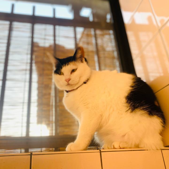 C1429ed8 beaf 423c 8d49 732b16bbf148 1651702389146