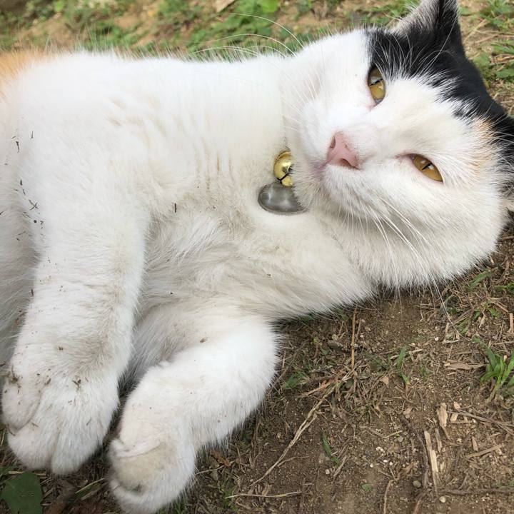 C1429fd8 00dc 4334 8f30 ab4e1b305fce 1606042449981