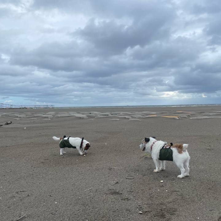 C142aa44 02b8 4c5c 8548 d5c2459ce249 1757808354070