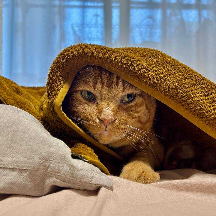 C142ae1c 388f 4e62 ac7a 4ba65f1d2476 1762984583225