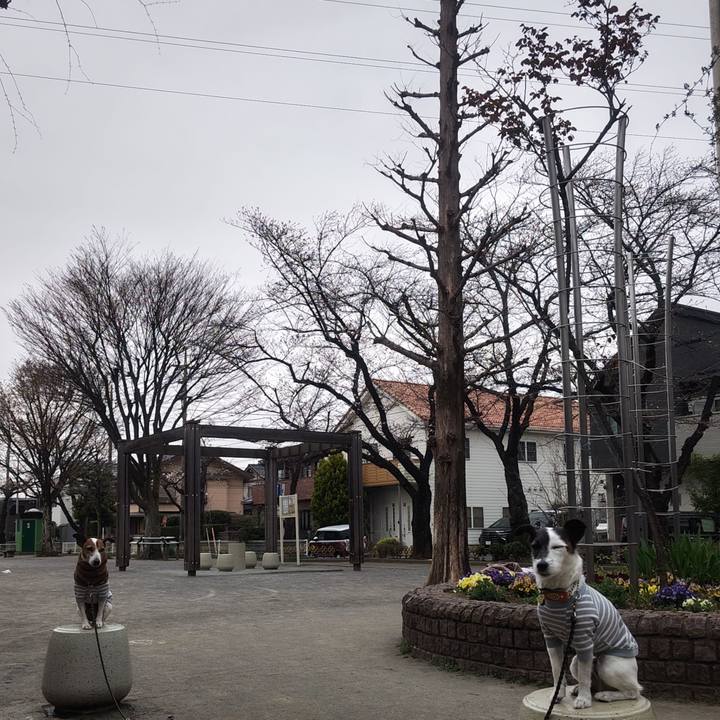 C143089f d568 4492 a2b2 45b1049b3046 1774389107171