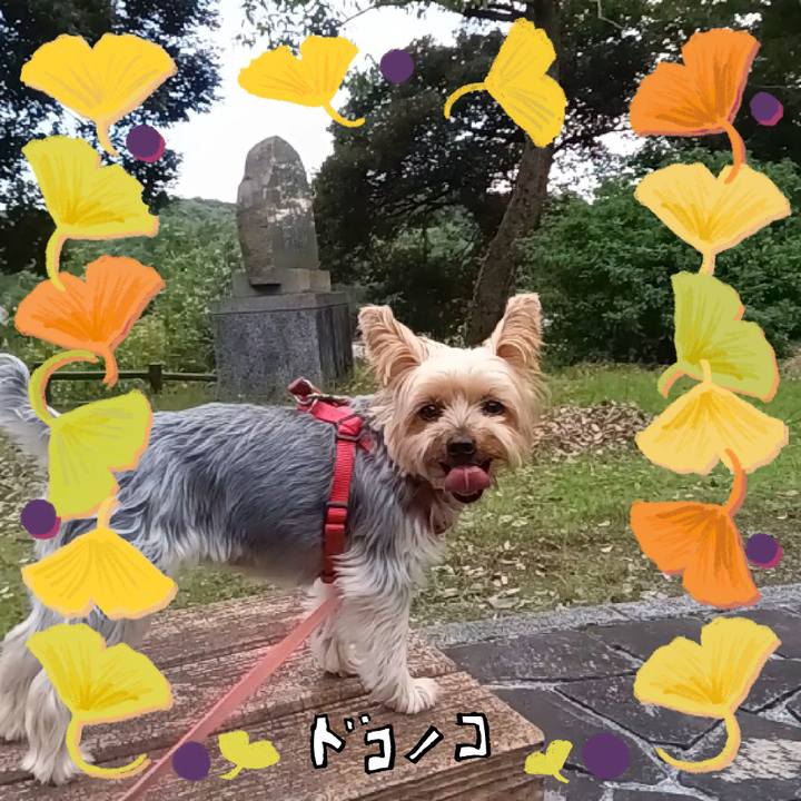 C1432f31 e85c 4932 ab4c 6a7660b076ee 1731232485641