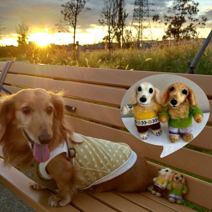 C1434827 c523 46d4 b53c 31c4d0a6b237 1695872612540