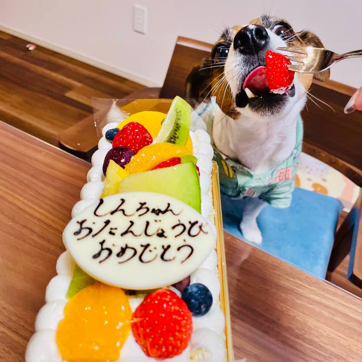 C1434d32 24ec 4f0d 9977 77cad3257e0f 1740642071953