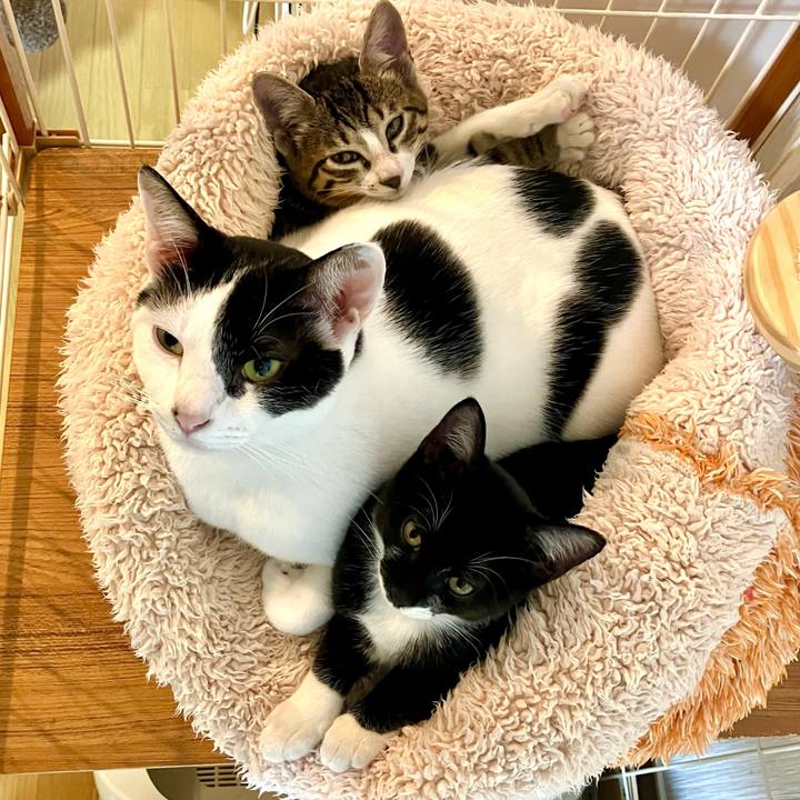 C14356fa 38ef 444b b810 c33de1ee8b7c 1763303154799