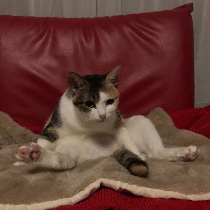 C1437f53 6613 4e6b 9e26 73846ec88dc4 1603109387270