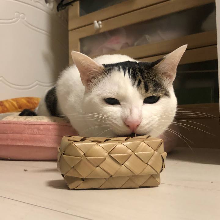 C143a51d 15fb 487f 8709 717b9b1bd0e1 1559305396161