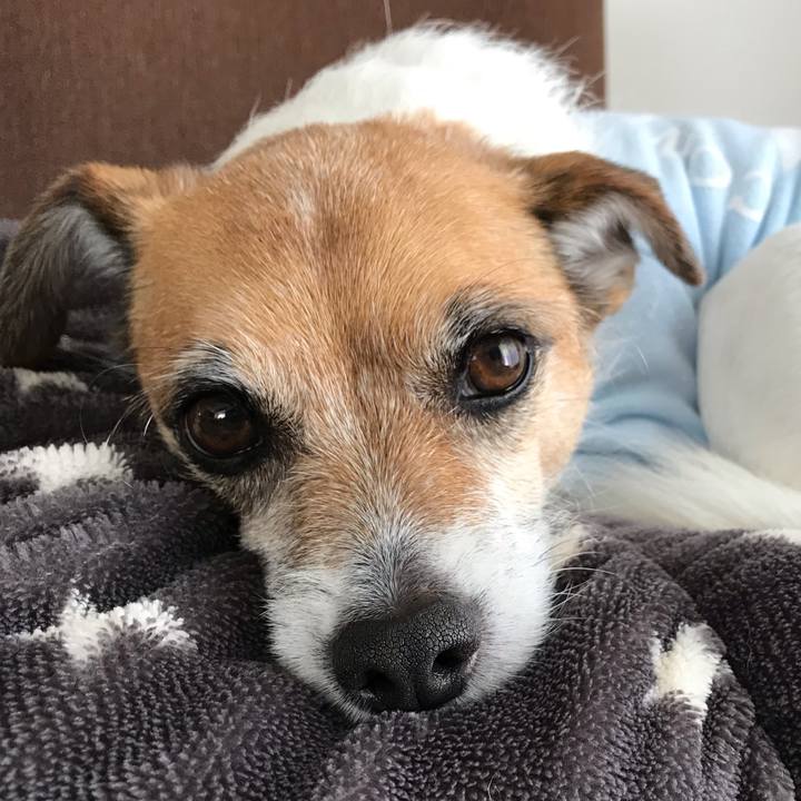 C143ba13 7ab0 4457 a4af 205c2d1b5175 1550906905147