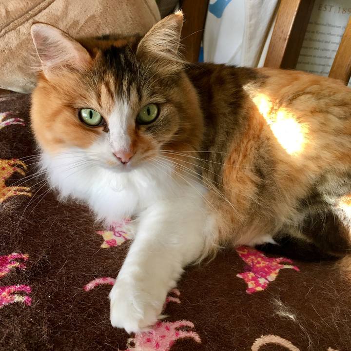 C143bef7 0dce 44b2 9dc7 3568eed4b8d5 1570693402117