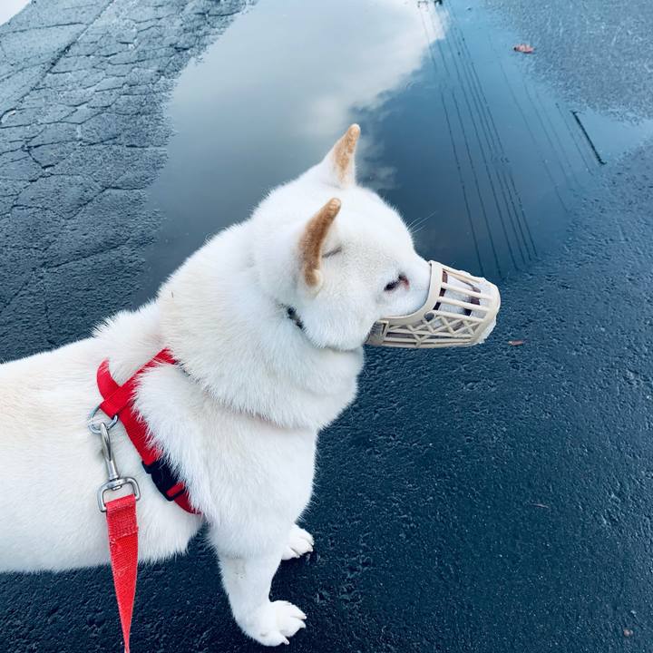 C143df1f 0859 4ce0 a8b3 68c09271dd0f 1605244433283