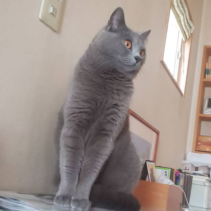 C143eafe 8708 40a3 9ce9 8e65032c7b36 1556711035103