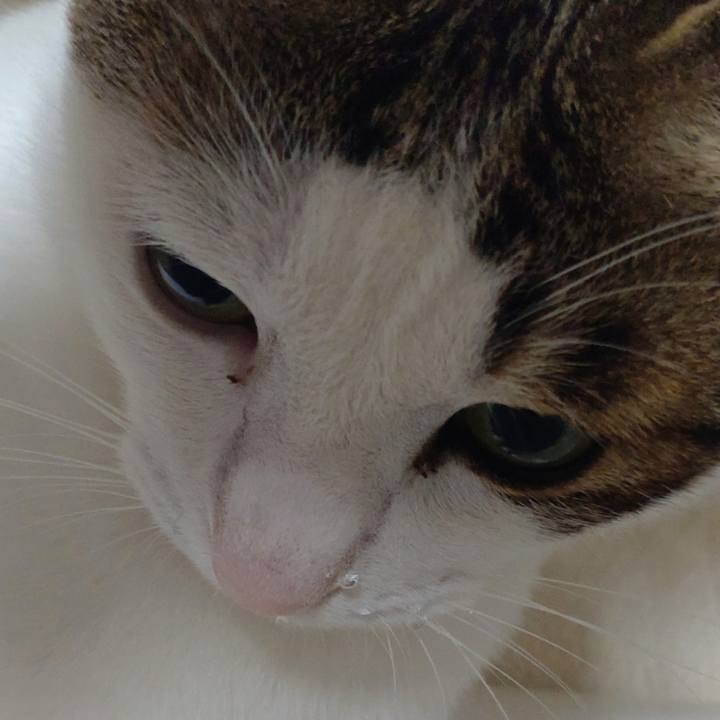 C14403fc cedd 4095 b2a7 c6889dce58d9 1695178810261