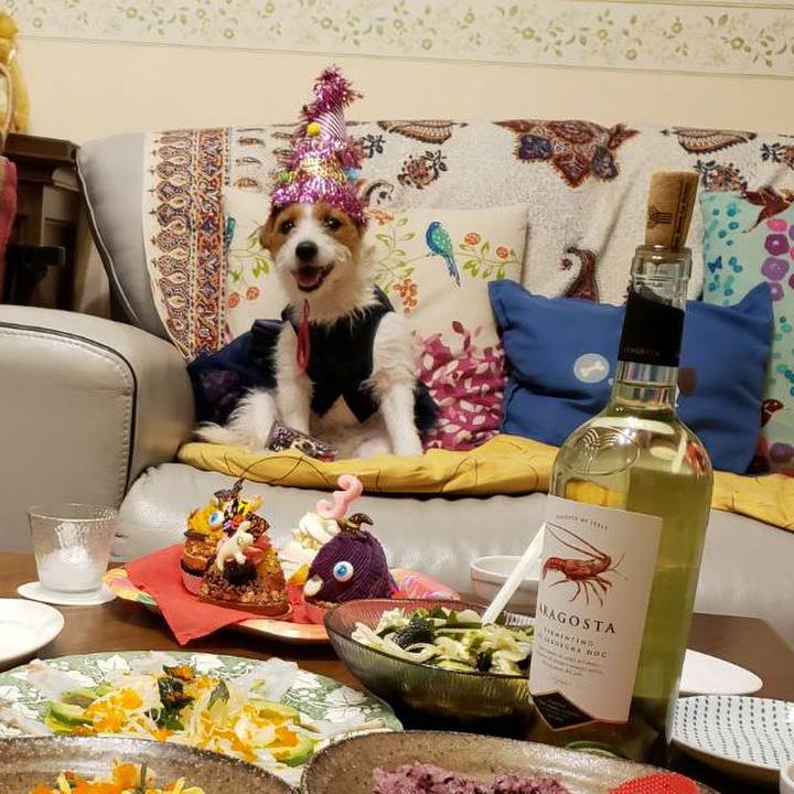 C144535b f94f 49b2 8469 b42d27f110d3 1572349722511