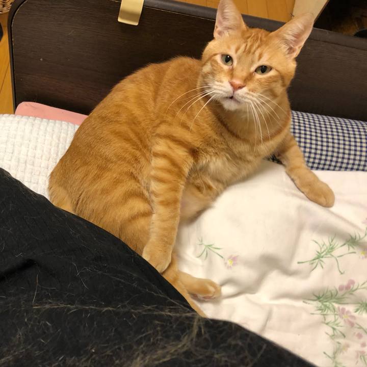 C1447305 4bd9 41ab bc19 dc9d1a55e82a 1575117681808