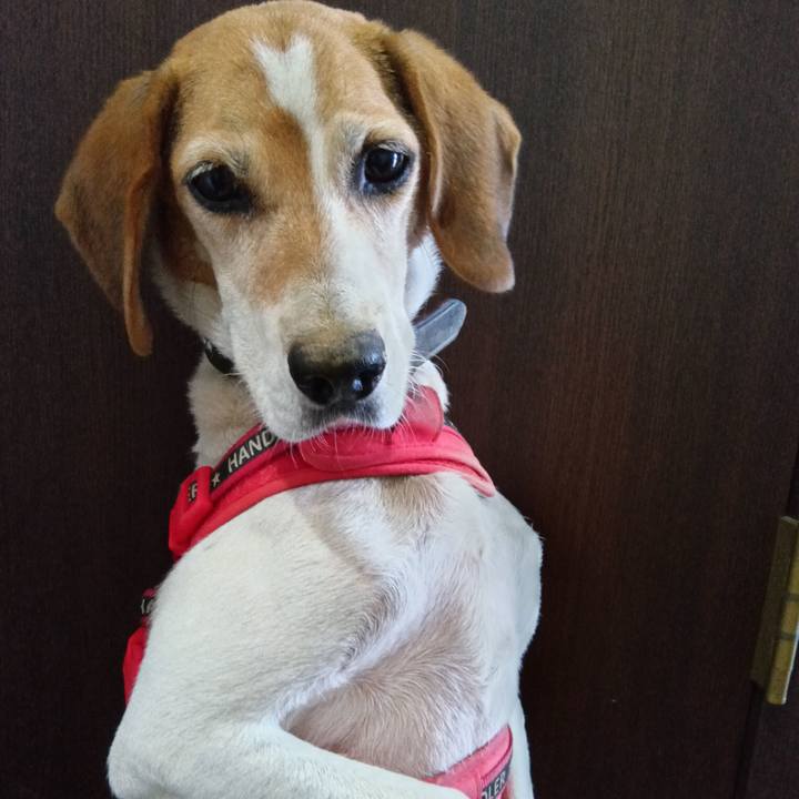 C144732c 8907 458e 8451 83fa772cbb88 1723982639547