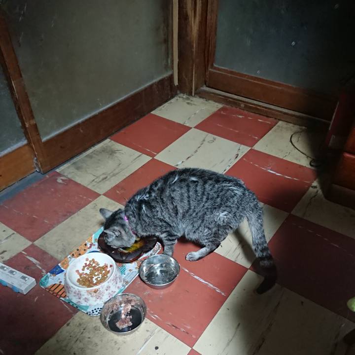 C1449c9c 576e 4f57 bcc3 33eb173a00f7 1584043605571