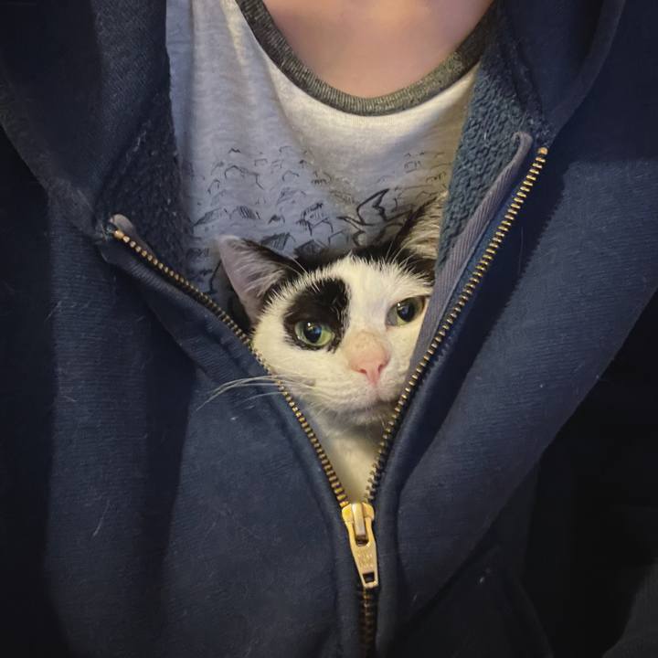 C144a40f 9d3d 4f1b 89ee b287b8daa440 1618399075635