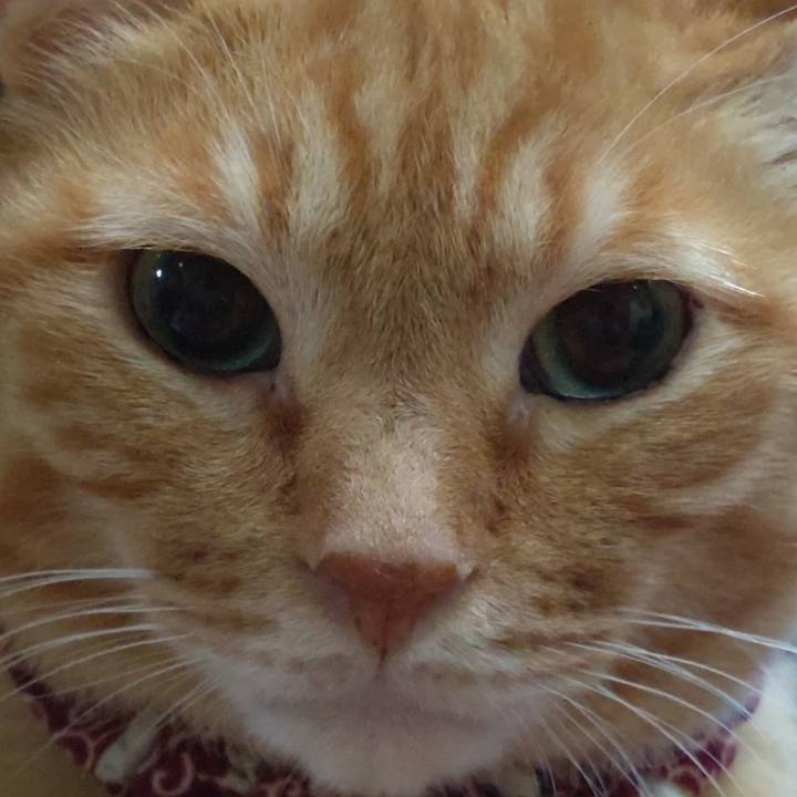 C144ab38 93fa 4432 8cb5 cb3b6569b693 1632566088724