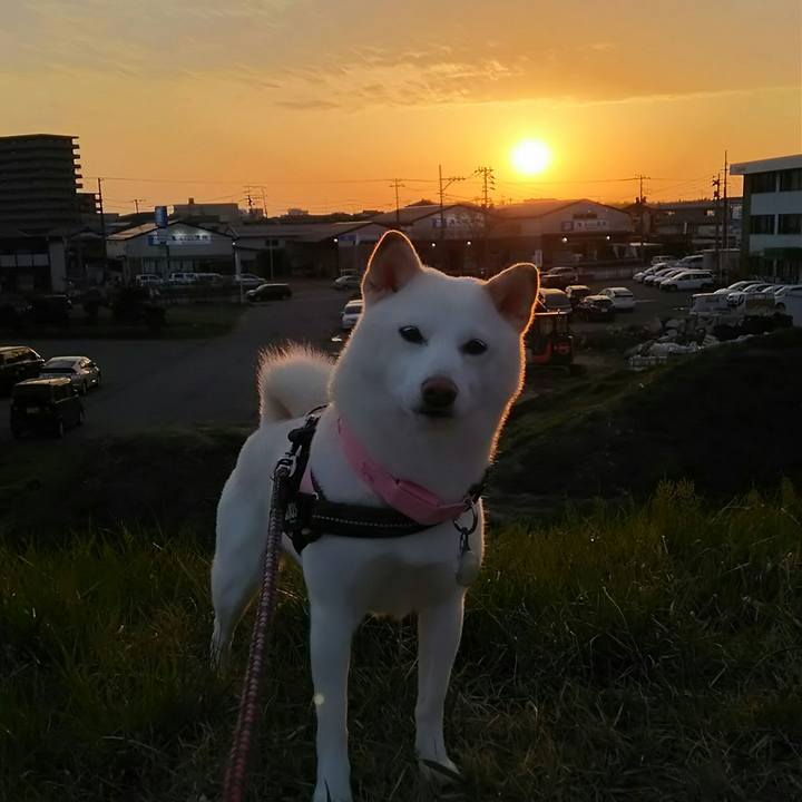 C144b66e a12c 49d1 8651 d26ceec0bf97 1523535066217