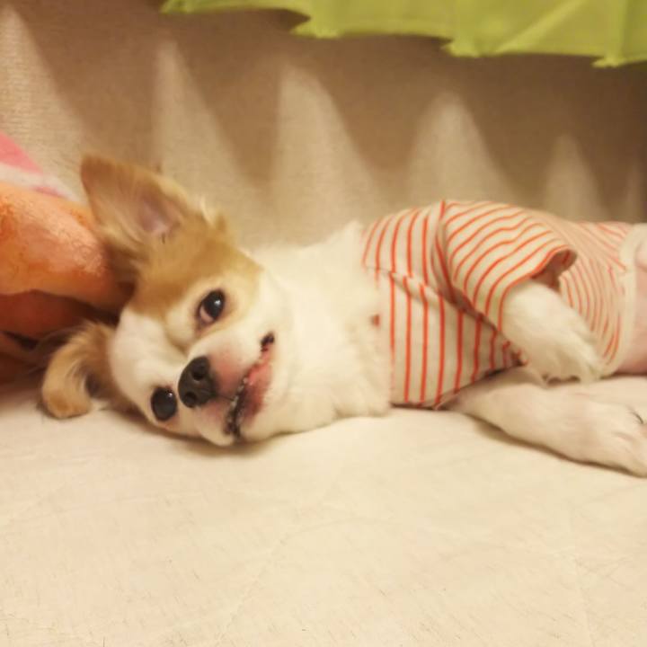 C144babe 0e81 430e 83ce 9cd8bf23a9d1 1570542962963